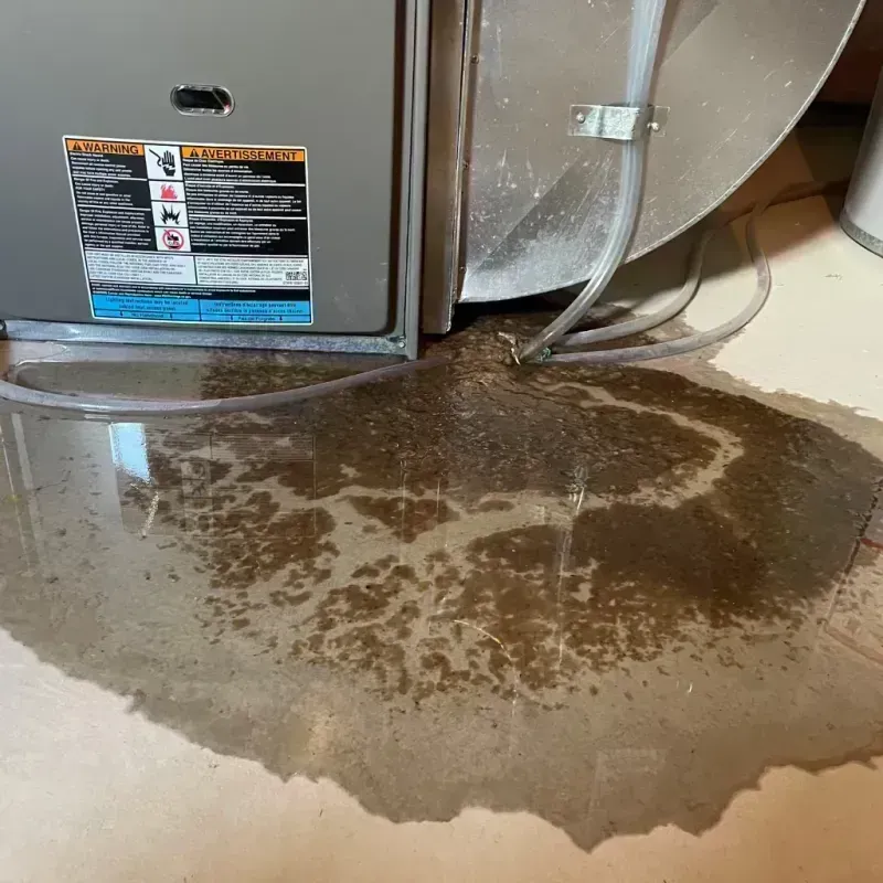 Appliance Leak Cleanup in Morton, IL